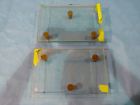 170-4046 Chef Mapper Xa Leveling Table Glass Dna Gel Casting