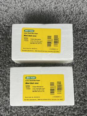1703966 Bio-rad 60-pack Extra Thick Mini Blot Size Paper 7 X 8.4cm Lot Of 2