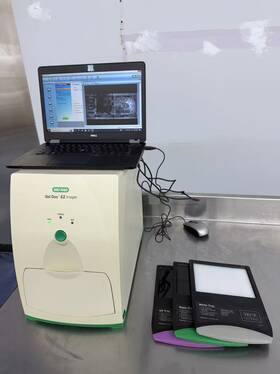 70days Bio-rad Biorad Gel Doc Ez Imager With Warranty