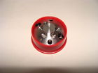 Ch-953295 Thermo Scientific Stator Vertical Injector Rohs