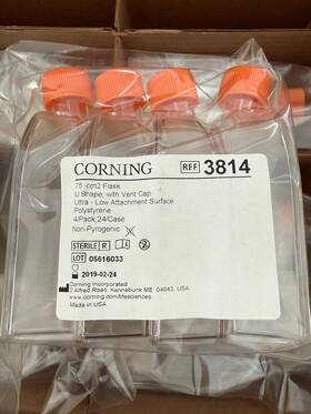 75cm2 Corning 3814 Flask U-shape With Vent Cap Ultra-low Attach 4/bag 24/case