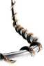 Hwc1060 Briskheat Heating Cord High Temp Hwc1060 Briskheat Heating Cord High Temp