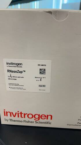 Am9782 Invitrogen Rnasezap Rnase Decontamination Solution 3x250ml Am9782 Invitrogen Rnasezap Rnase Decontamination Solution 3x250ml