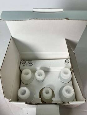 Cs10203 Invitrogen Chargeswitch Plasmid Yeast Mini Kit Cs10203 Invitrogen Chargeswitch Plasmid Yeast Mini Kit