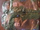 L15300gr00 Rubbermaid Commercial Castaway Dust Mop Green 086876087369