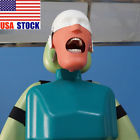 Okd6685782 Unbranded Dental Simulator Manikin Phantom Head Teeth Tooth 6930402070551