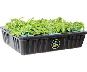Ox80sys Oxy Clone Pro Series 80 Site Cloning System