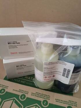 5487 Pierce Mini Gel Power Staining Kit 2 Boxes Pads And Destaining