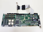 8r27506 Ptp Mv-1 E89382 Helena Laboratories