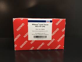 74804 Qiagen Cat No Rneasy Lipid Tissue Mini Kit 50