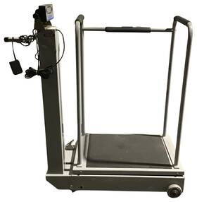 200-salter Salter Labs Electronic Weight Scale