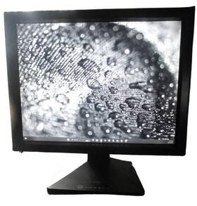 2-directional System Images Fpp2080x Image Systems 21 Inch Radiology Diagonostic Split Duo Screen Monitor