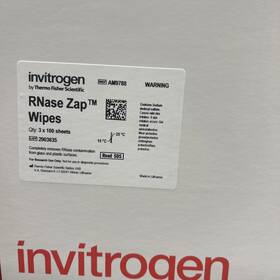 Am9788 Thermo Fisher Invitrogen Rnase Zap Decontamination Wipes 300 Sheets New Am9788 Thermo Fisher Invitrogen Rnase Zap Decontamination Wipes 300 Sheets New