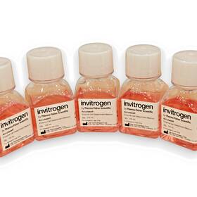 00-4555-56 Thermo Scientific #00-4555-56 Invitrogen Accutase Enzyme Cell Detachment Medium 1 Bottle 100ml New And Sealed