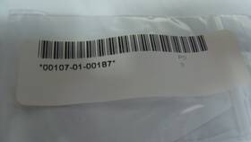 00107-01-00187 Thermo Scientific O-ring 2-002 Rohs Pn