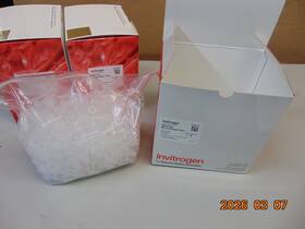 Am12425 Thermo Scientific 1 Box Of 500 Invitrogen Rnase-free 2 Ml Microfuge Tubes