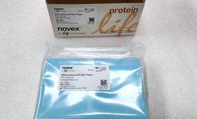 Lc2006 Thermo Scientific Nitrocellulose/filter Paper Sandwiches 0.45 M 8.6x13.5