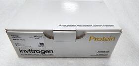 Thermo Scientific Wa0999 Midi-gel Adapters