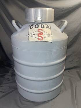 Xr-12 Union Carbide Carbide/linde 12l Cryogenic Liquid Nitrogen Dewar Tank Canisters