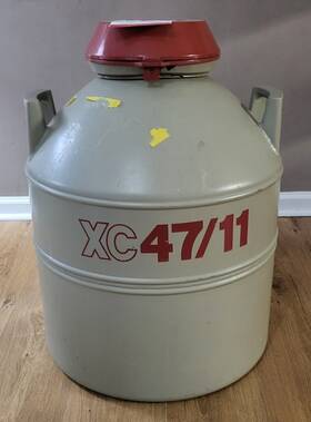 Xc47 Xc47/11 Mve Dewar Liquid Nitrogen Storage Tank With Canisters