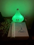 Earth Vibes Essential Oil Diffuser New Open Box Damage. Fixed Price $30.00.