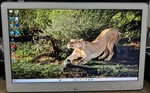 Lg 27HK510S 27" Full Hd Ips Surgical/medical Monitor. Fixed Price $799.99.