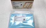 Thermo Scientific LC2006 Nitrocellulose/filter Paper Sandwiches 0.45 M, 8.6X13.5. Fixed Price $119.00.