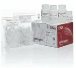 Invitrogen Purelink Quick Gel Extraction Kit K210012 (50 Prep Box). Fixed Price $99.00.