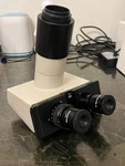Olympus BH2 Trinocular Head Complete Set Nfk 3.3X + Eyepieces Dslr Adapter. Fixed Price $499.00.