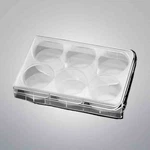 Thermo Scientific Microplate 6 Well 3 Ml Total Of 75 Plates. Fixed Price $148.50.