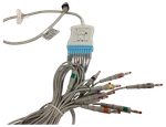 10-LEAD Ecg Ekg Patient Cable. Fixed Price $95.00.