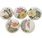 Vtg Sierra Club Flowers Of The American Wilderness Franklin Porcelain 5 Plates. Fixed Price $39.20.