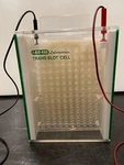 Bio-rad Trans-blot 49BR Electrophoresis Cell. Fixed Price $78.88.