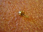 HL6738MG Laser Diode From Opnext. Fixed Price $49.99.