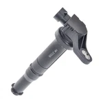 Herko Ignition Coil Set Of 3 B078 For Hyundai Kia 06-10 (non Us Market). Fixed Price $47.94.