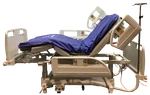 Linet Eleganza Electric Hospital Bed. Fixed Price $599.00.