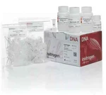 Invitrogen Purelink Quick Gel Extraction Kit K210012 (50 Prep Box). Fixed Price $107.00.