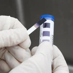 Usa Seller Noble 100 Chlorine Sanitizer Test Strips 2" Free Shipping Only. Fixed Price $10.95.