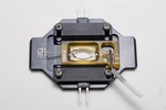 Warner Instruments RC-22C Chamber W/ Slice Anchor & PH-1 Heated Platform. Fixed Price $125.00.