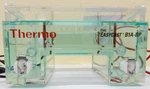 Thermo Scientific 7313 B1A-BP Mini Gel Electrophoresis System 0-150VDC, 0-100MA. Fixed Price $349.99.