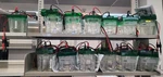 Bio-rad Electrophoresis Apparatus Criterion Cell. Fixed Price $174.41.