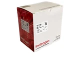 (500) Thermo Invitrogen Rnase-free 2ML Pp Microcentrifuge Tubes Snap Cap AM12425. Fixed Price $48.74.