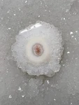Natural Solar Quartz Cabochon Stalactite Slice Gemstone Jewelry 55 Cts ME-14728. Fixed Price $20.00.