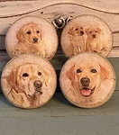 Yellow Dog Cabinet Knobs Drawer Pulls Set Of 4: Labrador Retriever. Fixed Price $28.00.