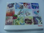 Thermo Scientific Dionex Inguard Cartridge 9X24MM Pack Of Pieces P/n 074037. Fixed Price $180.00.