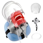 Dental Manikin Simulator Phantom Head Mannequin Detachable 28 Teeth. Fixed Price $65.99.